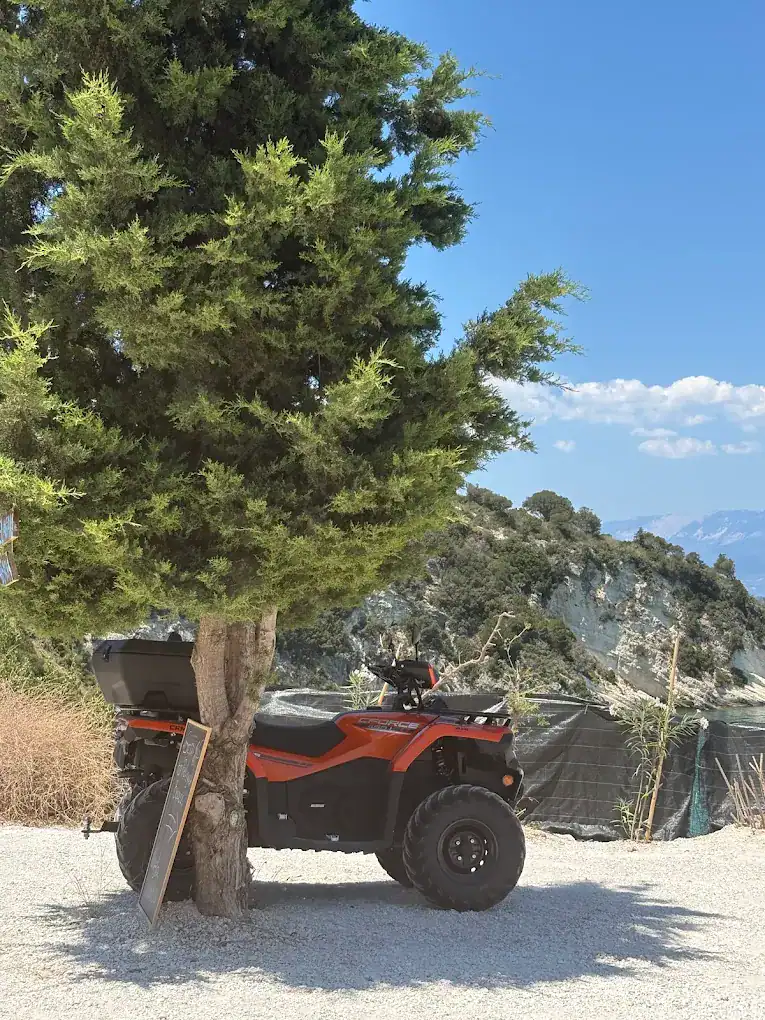 Home Page 12 ATV Rental Zakynthos